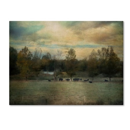 Jai Johnson 'Sunrise On The Farm' Canvas Art,18x24